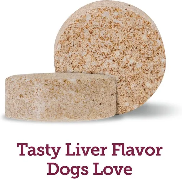 Vetality Canine Aspirin Pain Relief Supplement for Dogs