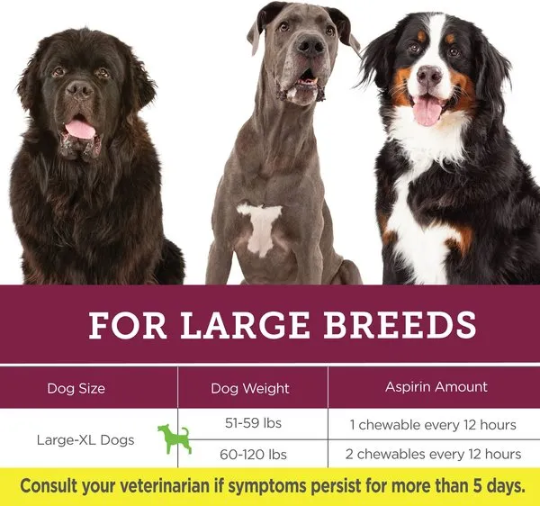 Vetality Canine Aspirin Pain Relief Supplement for Dogs
