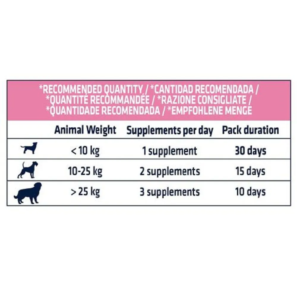 Veterinary Diets - Derma Forte Supplement for Dogs
