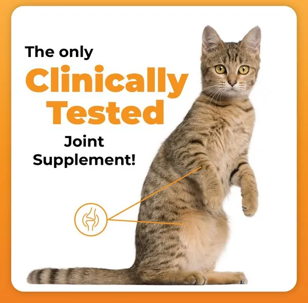 VetriScience GlycoFlex Plus Soft Chews Joint Supplement for Cats