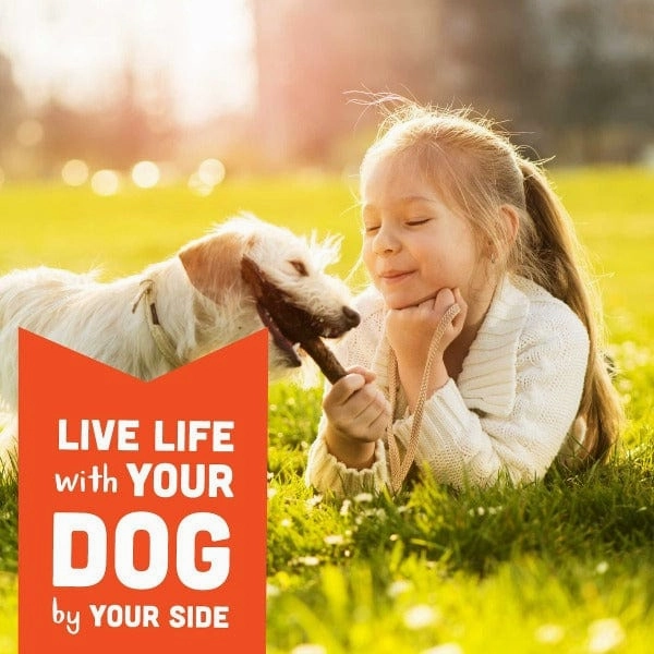 Wag More Bark Less Creamy Peanut Butter Soft & Chewy Dog Treats
