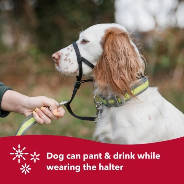Walk 'n Train! Dog Head Halter