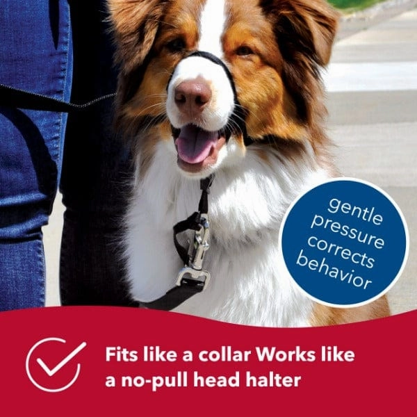 Walk 'n Train! Dog Head Halter
