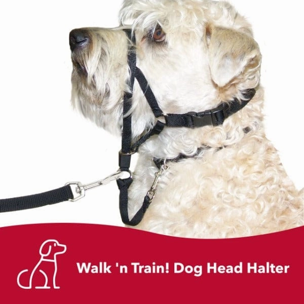Walk 'n Train! Dog Head Halter