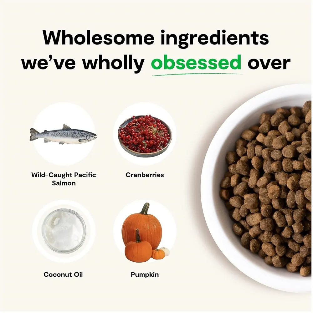 Wild-Caught Salmon Dog Dry Food