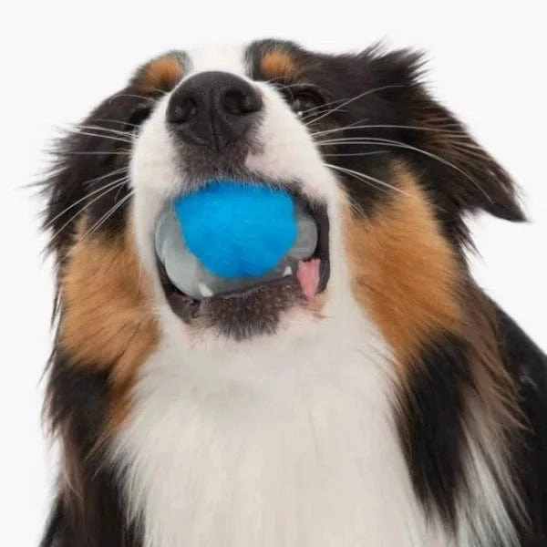Zeus Duo Ball Toy; Squeaker