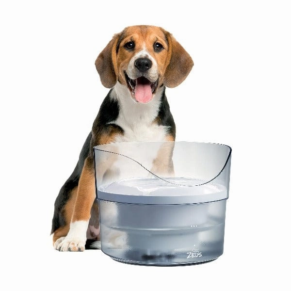 Zeus Fresh & Clear Fountain with Splash Guard