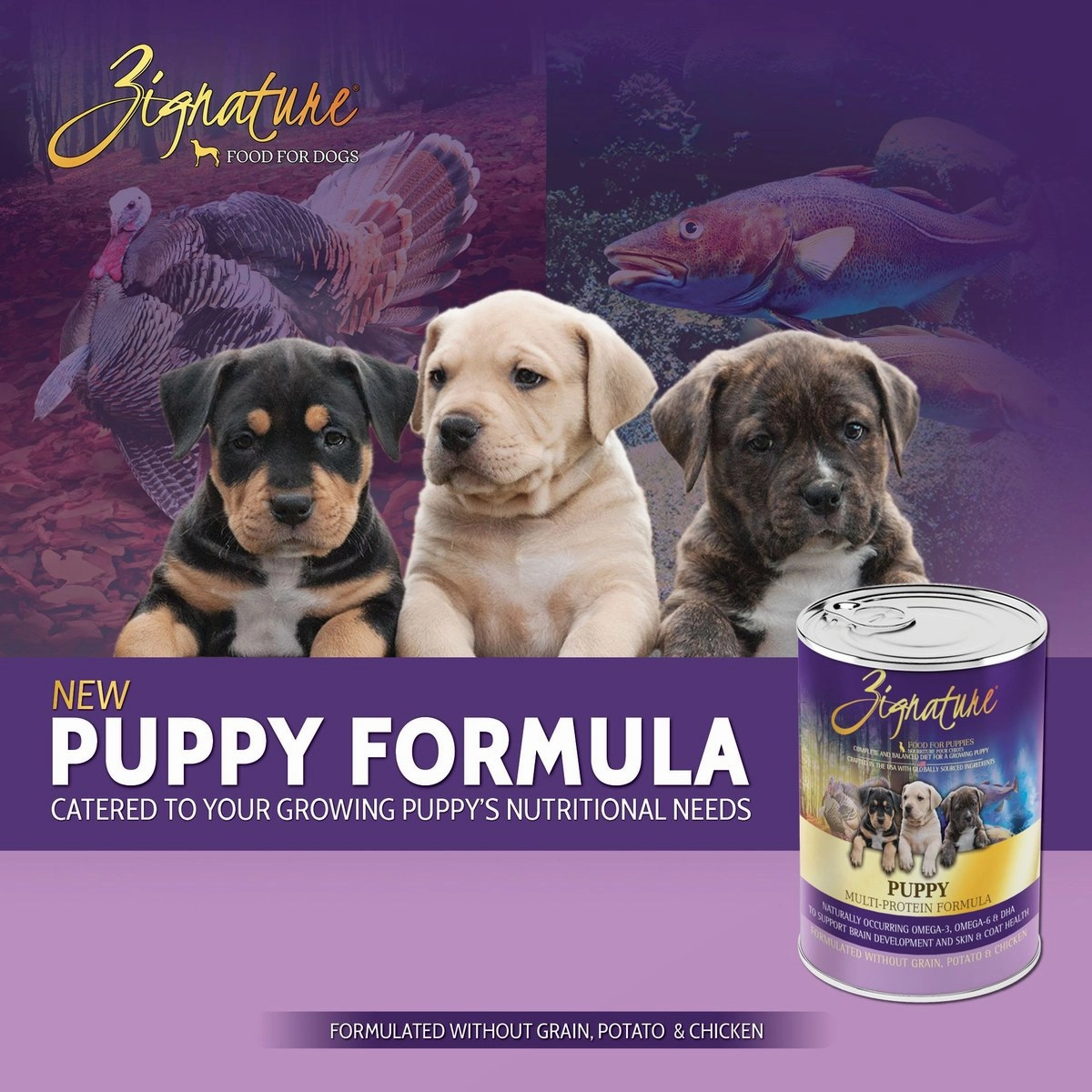 Zignature Grain Free Puppy Multi-Protein Formula Canned Dog Food