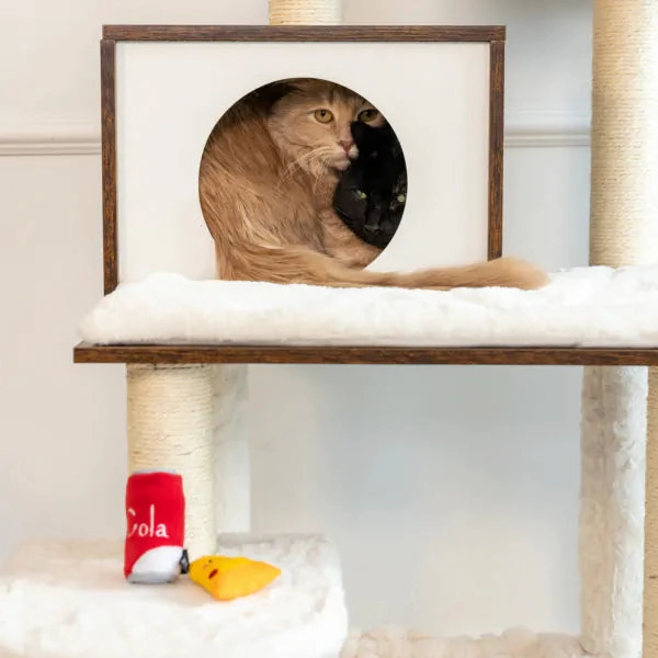 ZippyClaws NomNomz - Pizza and Cola Cat Toy