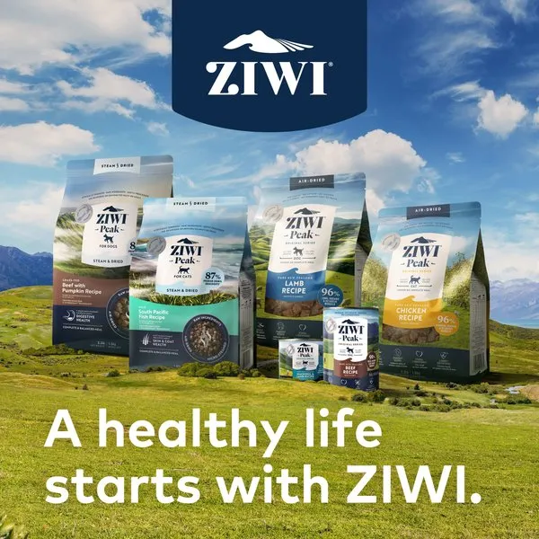 ZIWI Peak Grain Free Mackerel & Lamb Recipe Canned Cat Food