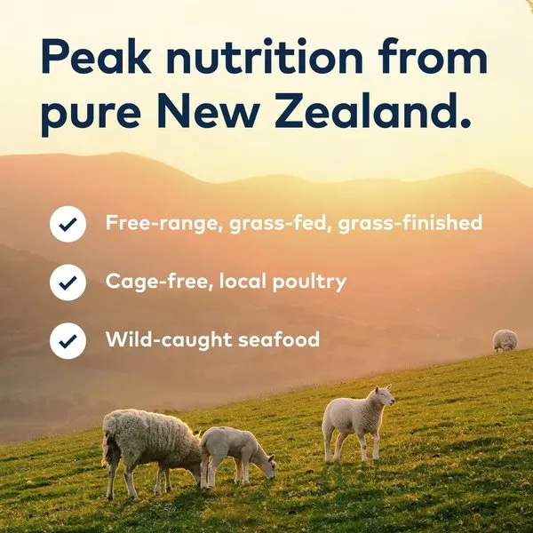 ZIWI Peak Grain Free Mackerel & Lamb Recipe Canned Cat Food