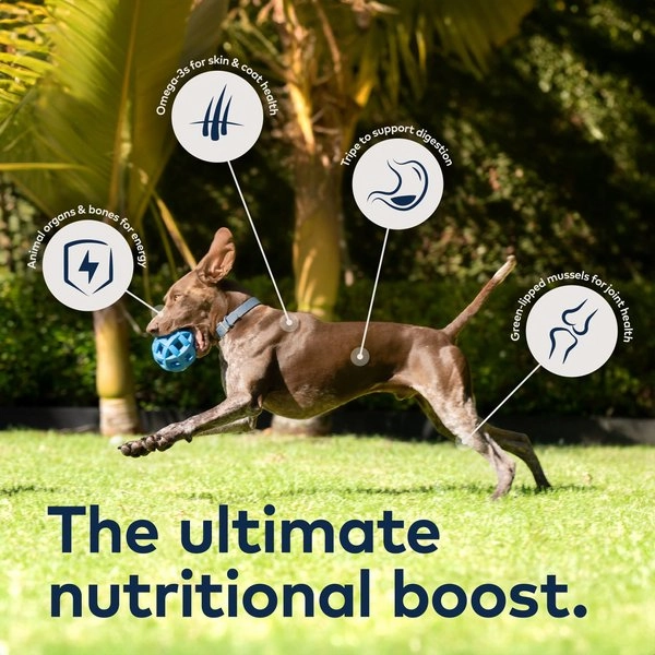ZIWI Peak Grain Free Beef Recipe Canned Dog Food