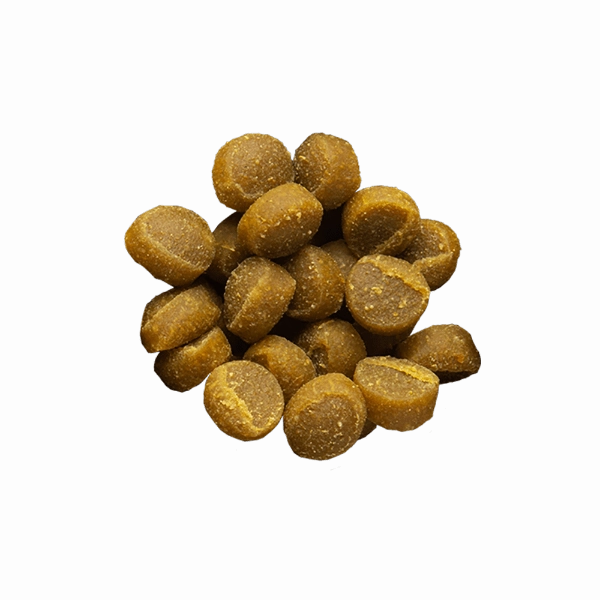 Zuke's Mini Naturals Salmon Recipe Dog Treats