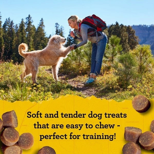 Zuke's Mini Naturals Salmon Recipe Dog Treats
