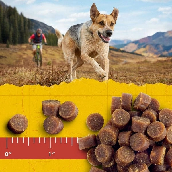 Zuke's Mini Naturals Salmon Recipe Dog Treats
